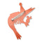 Pascal the Party Prawn Brooch | Erstwilder. Australian Art Prints, Gifts, Fashion and Homewares. Green Door Decor. www.greendoordecor.com.au