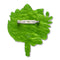 Petals for Keeps Brooch | Erstwilder. Australian Art Prints, Gifts, Fashion and Homewares. Green Door Decor. www.greendoordecor.com.au