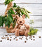 Plush Koko the Kangaroo & Baby JoJo by Petite Vous. Australian Art Prints, Gifts, Fashion and Homewares. Green Door Decor. www.greendoordecor.com.au