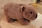 Plush Walter the Wombat by Petite Vous. Australian Art Prints, Gifts, Fashion and Homewares. Green Door Decor. www.greendoordecor.com.au