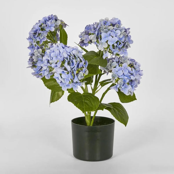 Faux Flower | Potted Real Touch Hydrangea Blue 53cm by Florabelle Living. Australian Art Prints and Homewares. Green Door Decor. www.greendoordecor.com.au