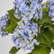 Faux Flower | Potted Real Touch Hydrangea Blue 53cm by Florabelle Living. Australian Art Prints and Homewares. Green Door Decor. www.greendoordecor.com.au