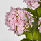 Faux Flower | Potted Real Touch Hydrangea Pink 53cm by Florabelle Living. Australian Art Prints and Homewares. Green Door Decor. www.greendoordecor.com.au