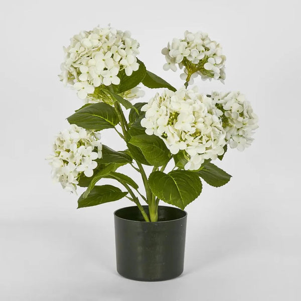 Faux Flower | Potted Real Touch Hydrangea White 53cm by Florabelle Living. Australian Art Prints and Homewares. Green Door Decor. www.greendoordecor.com.au