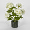 Faux Flower | Potted Real Touch Hydrangea White 53cm by Florabelle Living. Australian Art Prints and Homewares. Green Door Decor. www.greendoordecor.com.au