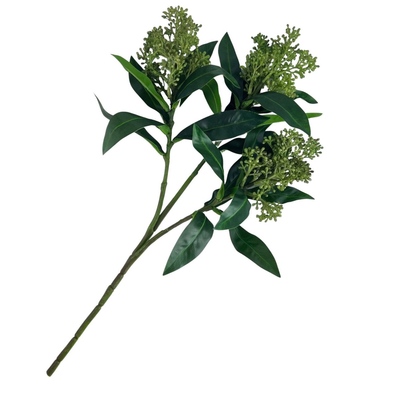 Faux Foliage | Skimmia by HG Living. Australian Art Prints, Gifts, Fashion and Homewares. Green Door Decor. www.greendoordecor.com.au