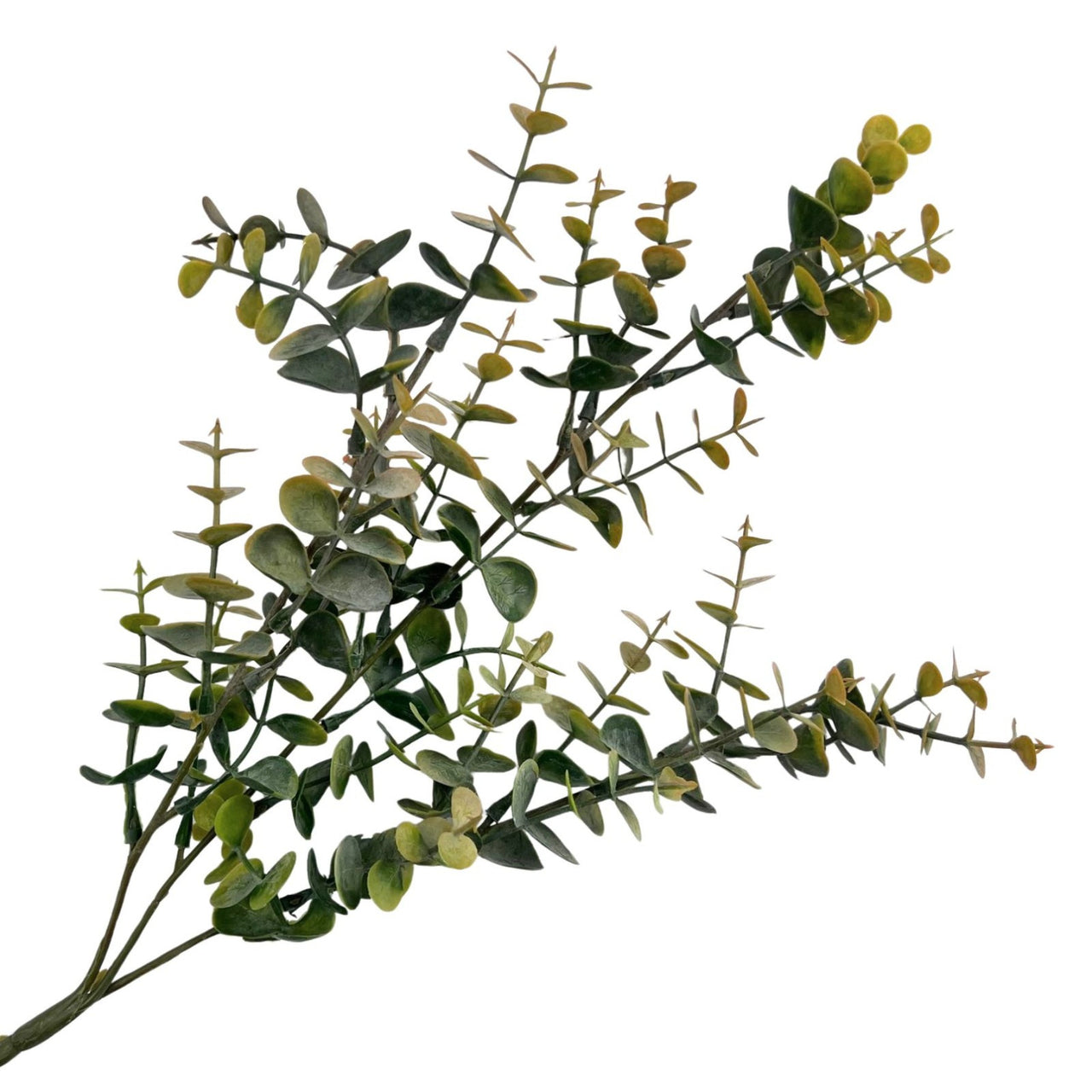 Faux Foliage | Real Touch Baby Native Gum - Gold Sunrise by HG Living. Australian Art Prints, Gifts, Fashion and Homewares. Green Door Decor. www.greendoordecor.com.au