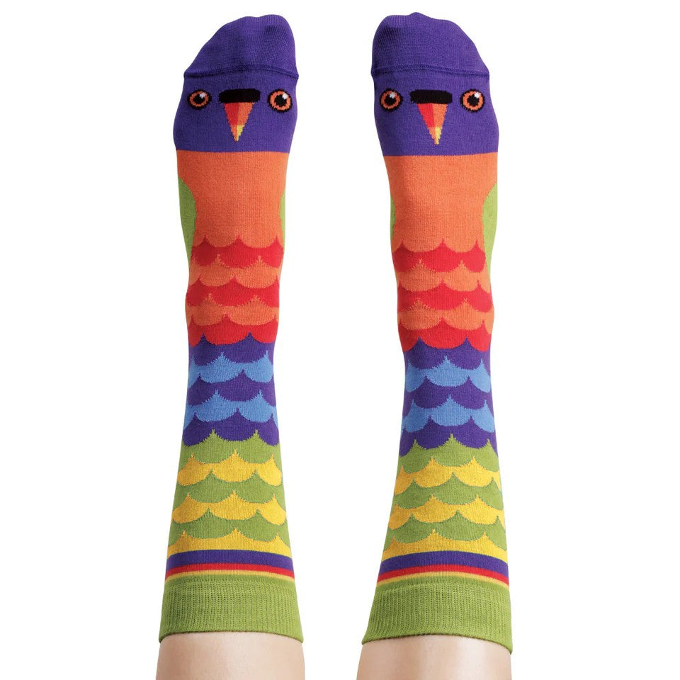 'Rainbow Lorikeet' Socks by Wilson Payne. Australian Art Prints and Homewares. Green Door Decor. www.greendoordecor.com.au