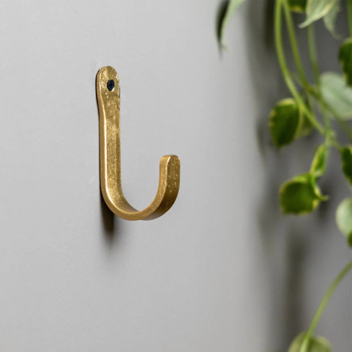 Round Coat Hook | Brass by The Lost and Found Department. Australian Art Prints and Homewares. Green Door Decor. www.greendoordecor.com.au