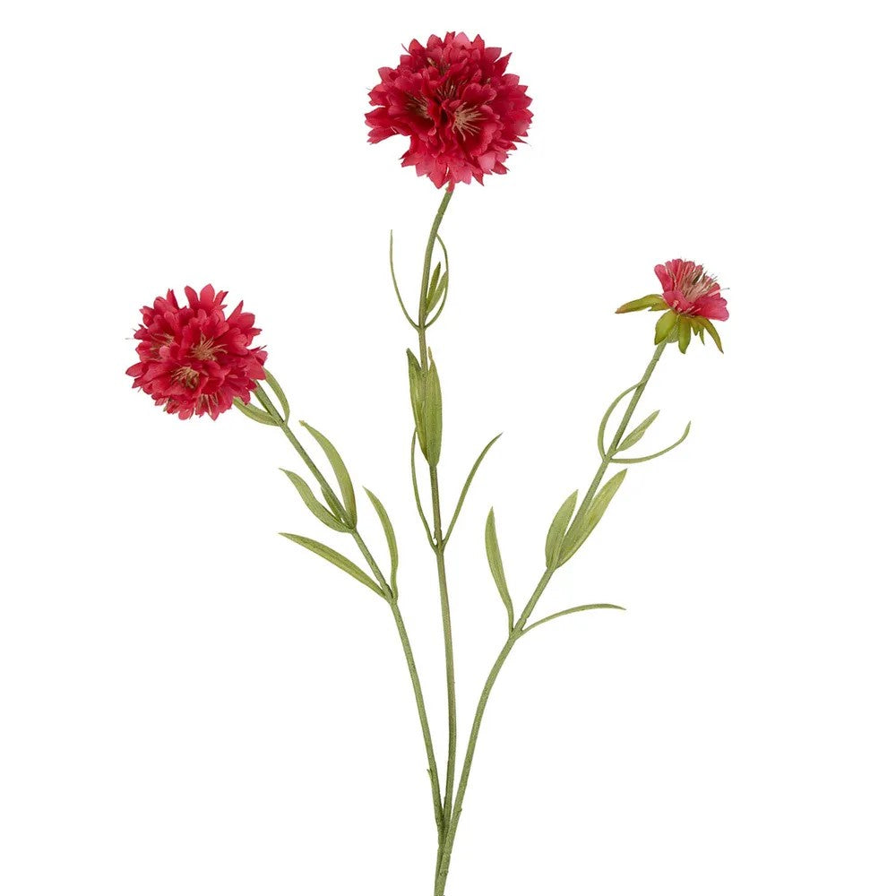 Faux Flower | Scabiosa Stem 60cm - Dark Pink. Australian Art Prints and Homewares. Green Door Decor. www.greendoordecor.com.au