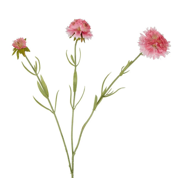 Faux Flower | Scabiosa Stem 60cm - Pink. Australian Art Prints and Homewares. Green Door Decor. www.greendoordecor.com.au