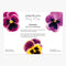 Fridge Magnets - Set of 3 | Pansies by Petal & Pins. Australian Art Prints, Gifts, Fashion and Homewares. Green Door Decor. www.greendoordecor.com.au