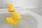Silicone Bath Ducks Set by Eleganter Australia. Australian Art Prints, Fashion and Homewares. Green Door Decor. www.greendoordecor.com.au