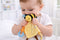 Snuggle Buddy Hunny Bee Comforter by Eleganter Australia. Australian Art Prints, Gifts, Fashion and Homewares. Green Door Decor. www.greendoordecor.com.au