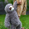 'Sofia' Sloth Toy by Lily & George. Australian Art Prints and Homewares. Green Door Decor. www.greendoordecor.com.au