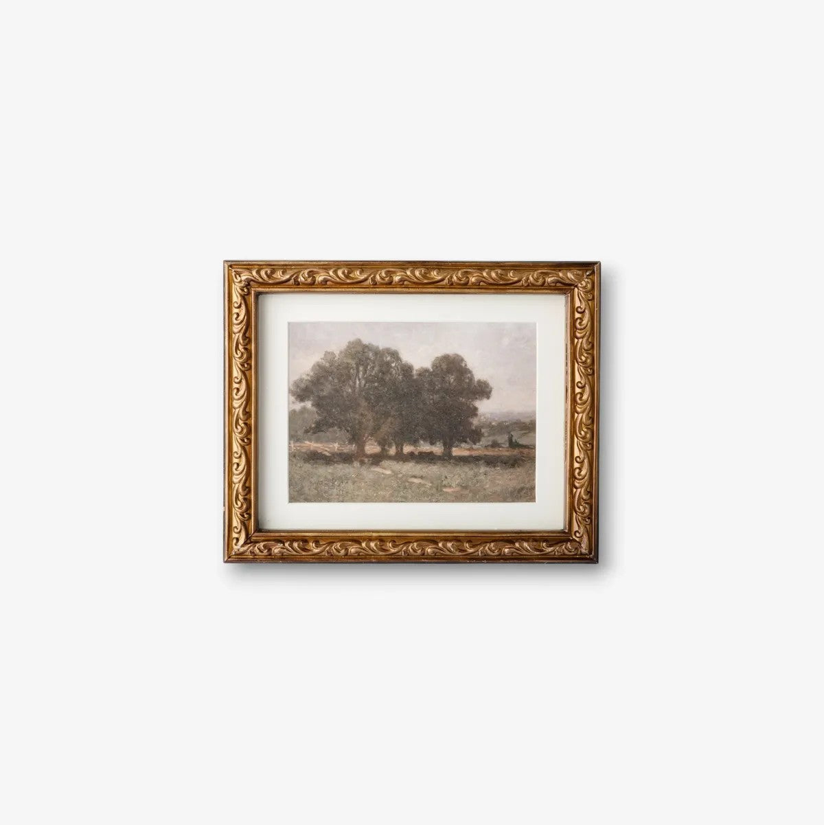 Stand of Trees | Wall Art by French Country Collections. Australian Art Prints, Gifts, Fashion and Homewares. Green Door Decor. www.greendoordecor.com.au