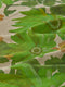 Linen Pillowcase Set - Standard | Marigold Leaf by Bonnie and Neil. Australian Art Prints, Gifts, Fashion and Homewares. Green Door Decor. www.greendoordecor.com.au