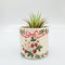 Strawberry Field Planter (12cm) by Urban Products. Australian Art Prints, Fashion and Homewares. Green Door Decor. www.greendoordecor.com.au