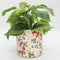 Strawberry Field Planter (14cm) by Urban Products. Australian Art Prints, Fashion and Homewares. Green Door Decor. www.greendoordecor.com.au