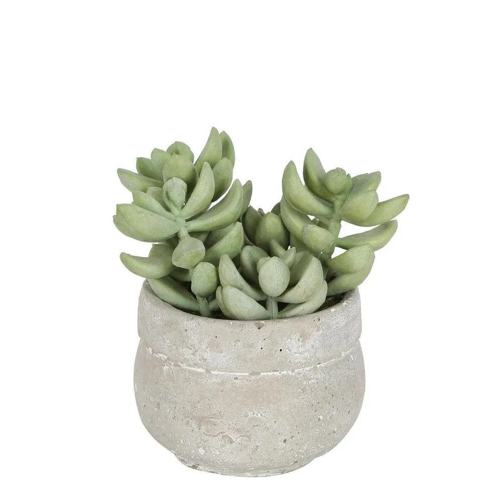 Artificial Succulent in Ceramic Grey Pot Green 12cm | Jenny by Florabelle. Australian Art Prints and Homewares. Green Door Decor. www.greendoordecor.com.au