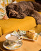 Tea Cup & Saucer | Golden Hour by La La Land. Australian Art Prints, Fashion and Homewares. Green Door Decor. www.greendoordecor.com.au