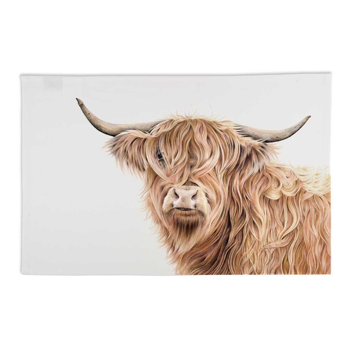 Barclay the Highland Cow | Tea Towel by Popcorn Blue. Australian Art Prints, Gifts, Fashion and Homewares. Green Door Decor. www.greendoordecor.com.au