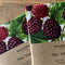 Tea Towel | Berries by Home Dweller. Australian Art Prints, Fashion and Homewares. Green Door Decor. www.greendoordecor.com.au