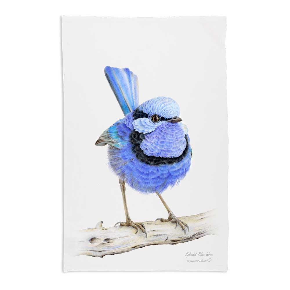 Waru the Splendid Fairy Wren | Tea Towel by Popcorn Blue. Australian Art Prints, Gifts, Fashion and Homewares. Green Door Decor. www.greendoordecor.com.au