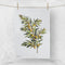 Tea Towel | Olive branch by Home Dweller. Australian Art Prints, Fashion and Homewares. Green Door Decor. www.greendoordecor.com.au