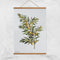 Tea Towel | Olive branch by Home Dweller. Australian Art Prints, Fashion and Homewares. Green Door Decor. www.greendoordecor.com.au
