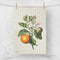 Tea Towel | Orange by home Dweller. Australian Art Prints, Fashion and Homewares. Green Door Decor. www.greendoordecor.com.au
