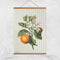 Tea Towel | Orange by home Dweller. Australian Art Prints, Fashion and Homewares. Green Door Decor. www.greendoordecor.com.au