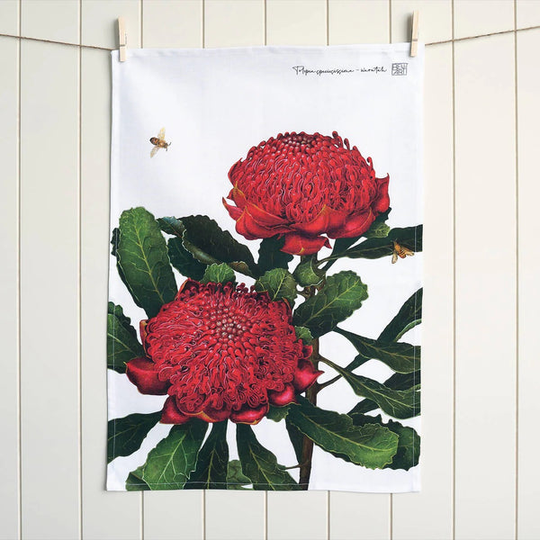 Australian Native Tea Towel | Waratah by Bell Art. Australian Art Prints and Homewares. Green Door Decor. www.greendoordecor.com.au