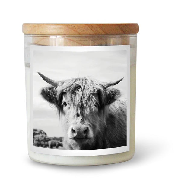 'The Highland Cow' Dictionary Meaning | SOUL Candle by The Commonfolk Collective. Australian Art Prints, Fashion and Homewares. Green Door Decor. www.greendoordecor.com.au