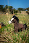 Thunder the Horse by Nana Huchy. Australian Art Prints, Gifts, Fashion and Homewares. Green Door Decor. www.greendoordecor.com.au