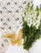 'Wildflower Trellis' Tissue Paper | 4pk by Bespoke Letterpress. Australian Art Prints, Gifts, Fashion and Homewares. Green Door Decor. www.greendoordecor.com.au
