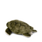 'Turtle' Plush Toy | WWF. Australian Art Prints and Homewares. Green Door Decor. www.greendoordecor.com.au