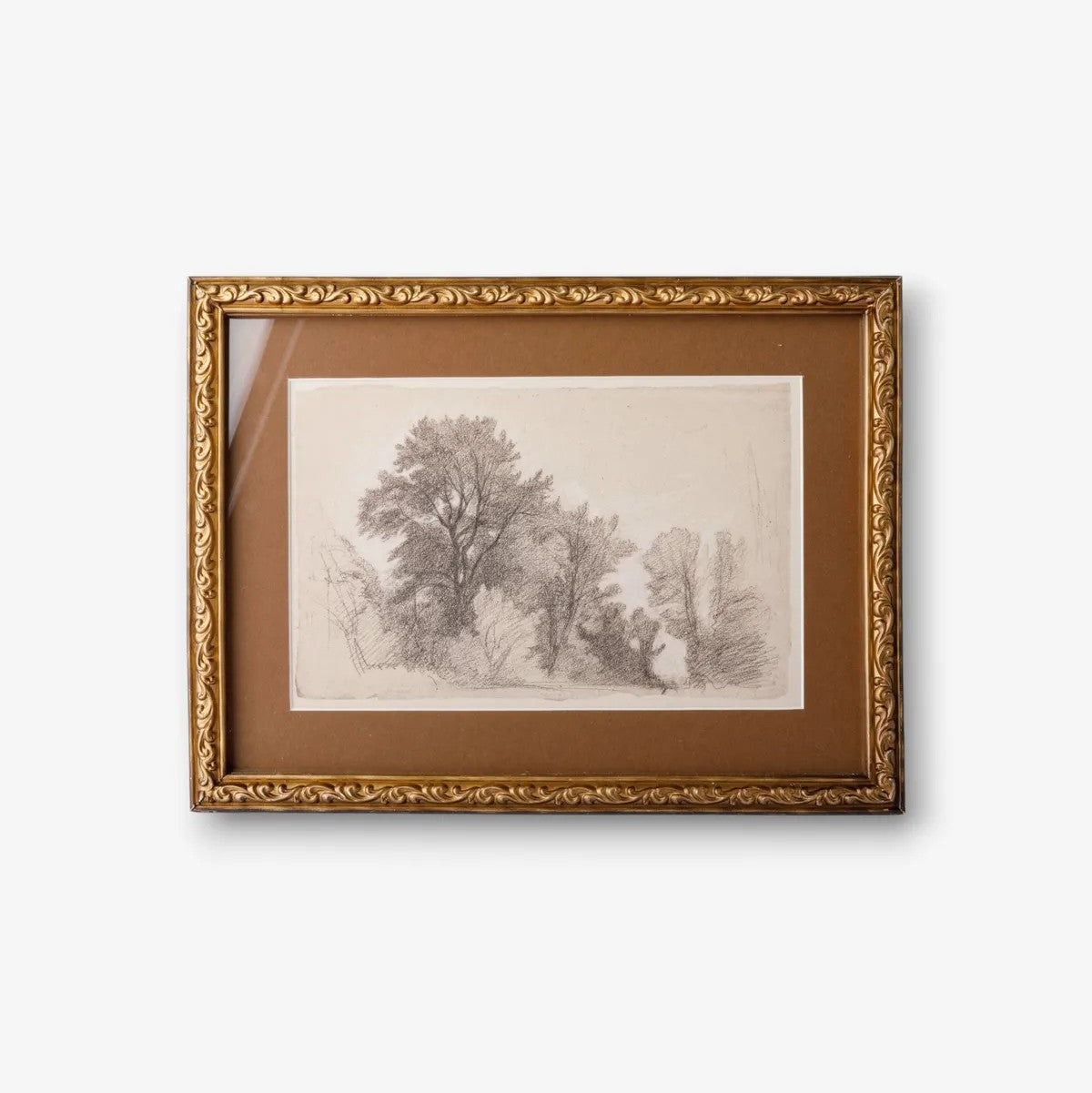 Vintage Glade Sketch | Wall Art by French Country Collections. Australian Art Prints, Gifts, Fashion and Homewares. Green Door Decor. www.greendoordecor.com.au