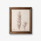 Vintage Poplar Tree Sketch | Wall Art by French Country Collections. Australian Art Prints, Gifts, Fashion and Homewares. Green Door Decor. www.greendoordecor.com.au