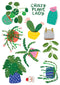 Wall Decals A4 Sheet | Crazy Plant Lady by Missy Minzy. Australian Art Prints and Homewares. Green Door Decor. www.greendoordecor.com.au