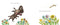 What Jack Brought Back Book by Jonathan Bentley. Australian Art Prints, Gifts, Fashion and Homewares. Green Door Decor. www.greendoordecor.com.au