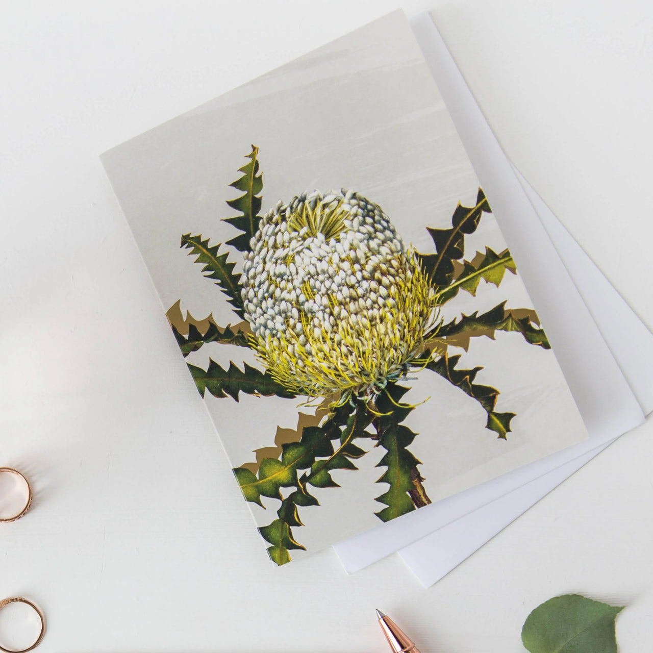 White Collection Greeting Card | Showy Banksia by Bell Art. Australian Art Prints and Homewares. Green Door Decor. www.greendoordecor.com.au