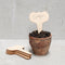 Wide Face Wood Plant Labels by Heaven in Earth. Australian Art Prints, Fashion and Homewares. Green Door Decor. www.greendoordecor.com.au