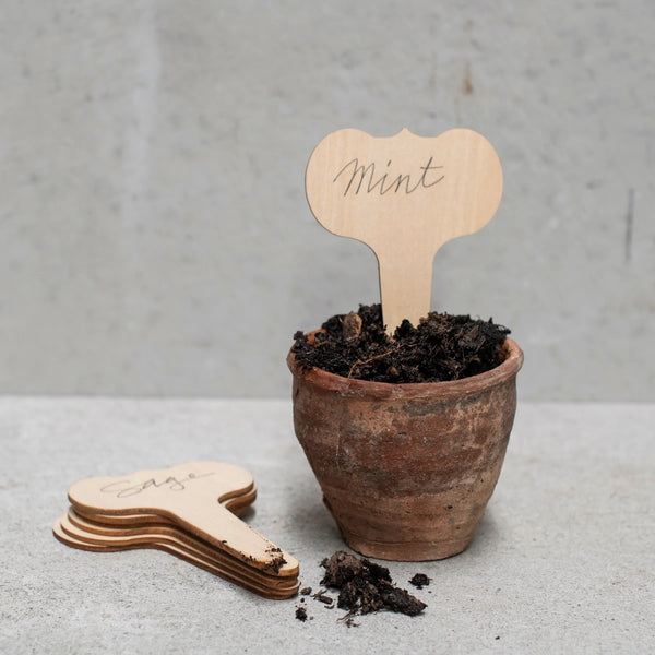 Wide Face Wood Plant Labels by Heaven in Earth. Australian Art Prints, Fashion and Homewares. Green Door Decor. www.greendoordecor.com.au