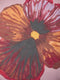 Linen Round Cushion (45cm) | Wild Pansy Lilac by Bonnie and Neil. Australian Art Prints, Gifts, Fashion and Homewares. Green Door Decor. www.greendoordecor.com.au