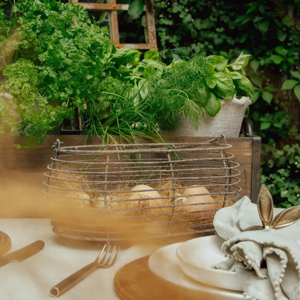 Wire Oval Egg Basket by French Country Collections. Australian Art Prints, Fashion and Homewares. Green Door Decor. www.greendoordecor.com.au