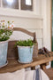 Wooden Garden Tool Crate by French Country Collection. Australian Art Prints, Gifts, Fashion and Homewares. Green Door Decor. www.greendoordecor.com.au