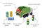 Wooden Recycling Garbage Truck Play Set by Eleganter Australia. Australian Art Prints, Gifts, Fashion and Homewares. Green Door Decor. www.greendoordecor.com.au
