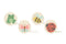 Wooden Spring Insect Yo-Yo | Various Insects by Eleganter Australia. Australian Art Prints, Gifts, Fashion and Homewares. Green Door Decor. www.greendoordecor.com.au