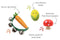 Wooden Veggie Musical Set | Carrot, Mushroom & Corn by Eleganter Australia. Australian Art Prints, Gifts, Fashion and Homewares. Green Door Decor. www.greendoordecor.com.au